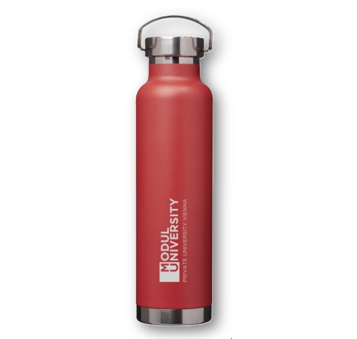 Copper Vacuum Insulation Bottle 650 ml – Red
