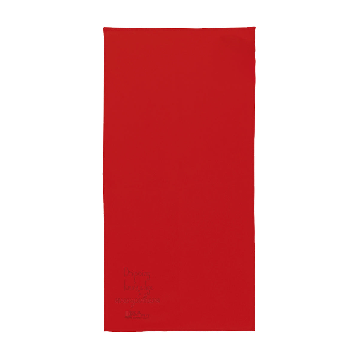 XL Microfiber Towel + Case
