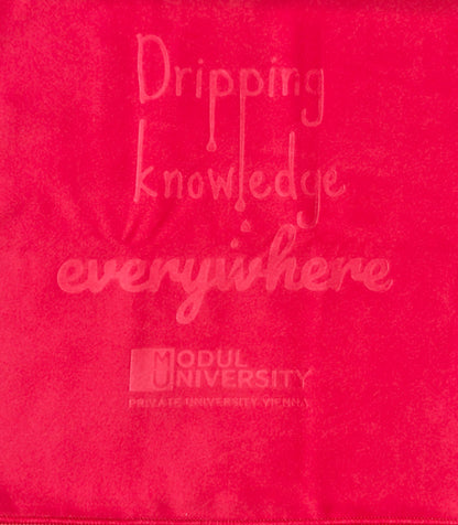 XL Microfiber Towel + Case